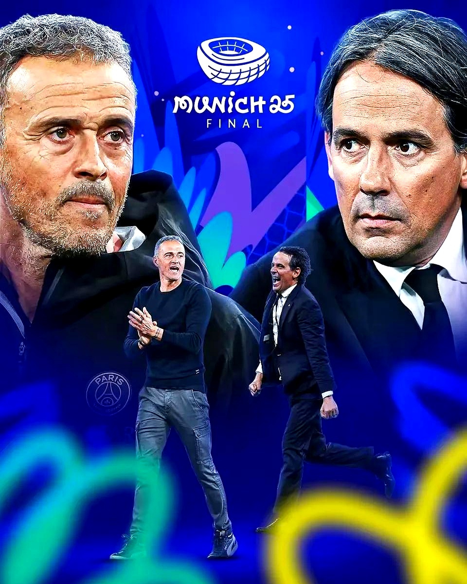 KAIYUN SPORTS-阿森纳传奇后腰